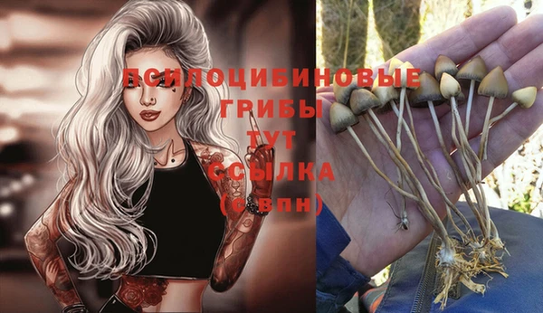 альфа пвп Бородино