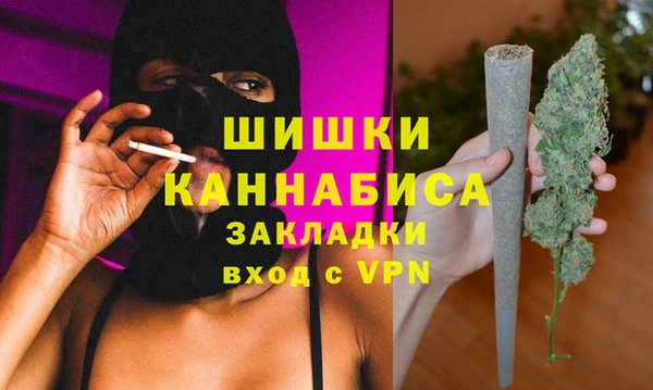 индика Струнино