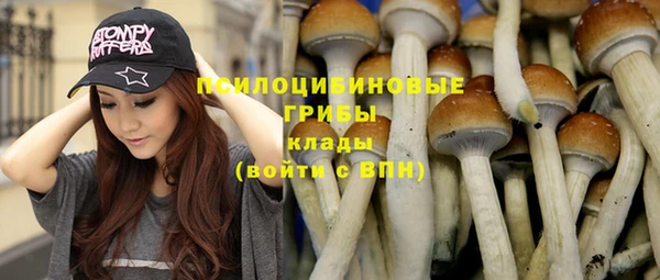 трава Волоколамск