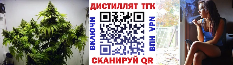 блэк спрут как зайти  Каргополь  ТГК Wax  магазин   