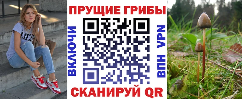 Галлюциногенные грибы прущие грибы  Каргополь 