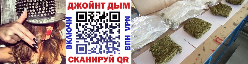 как найти наркотики  Каргополь  Шишки марихуана гибрид 